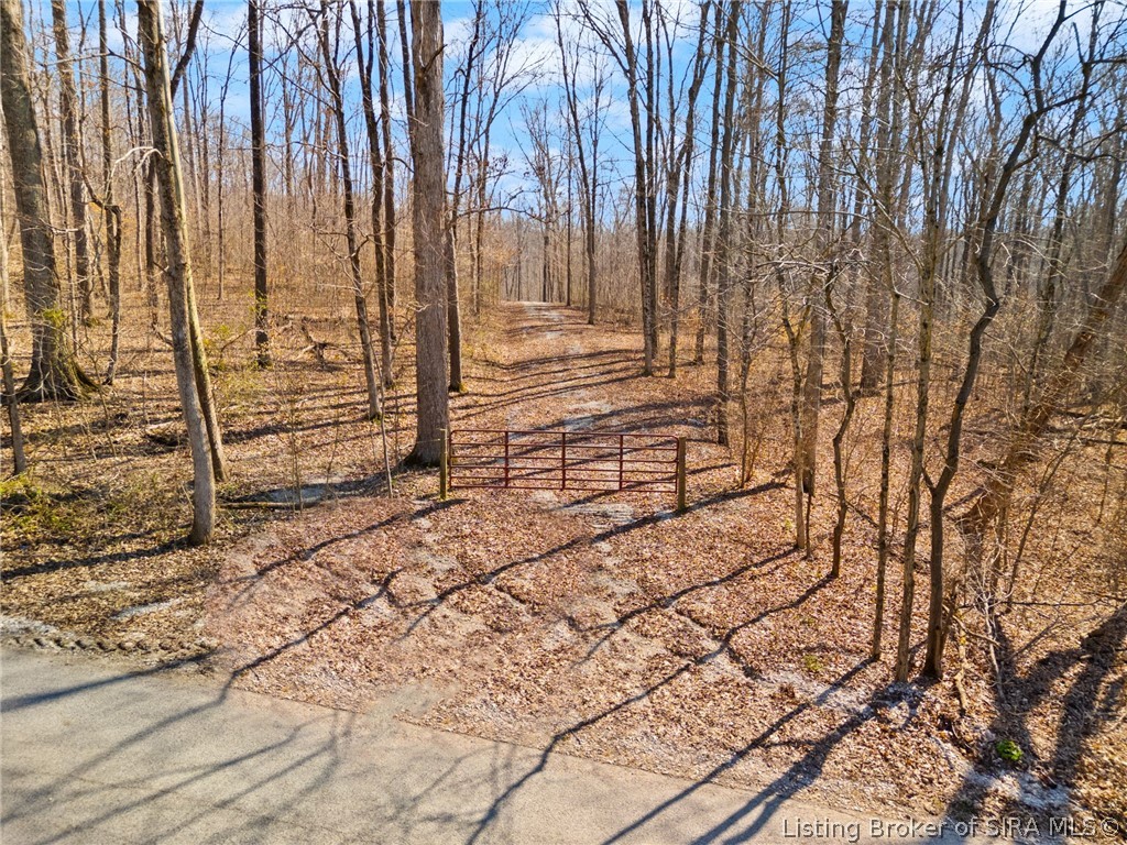 6± Ac Pedora School Road Property Photo 6