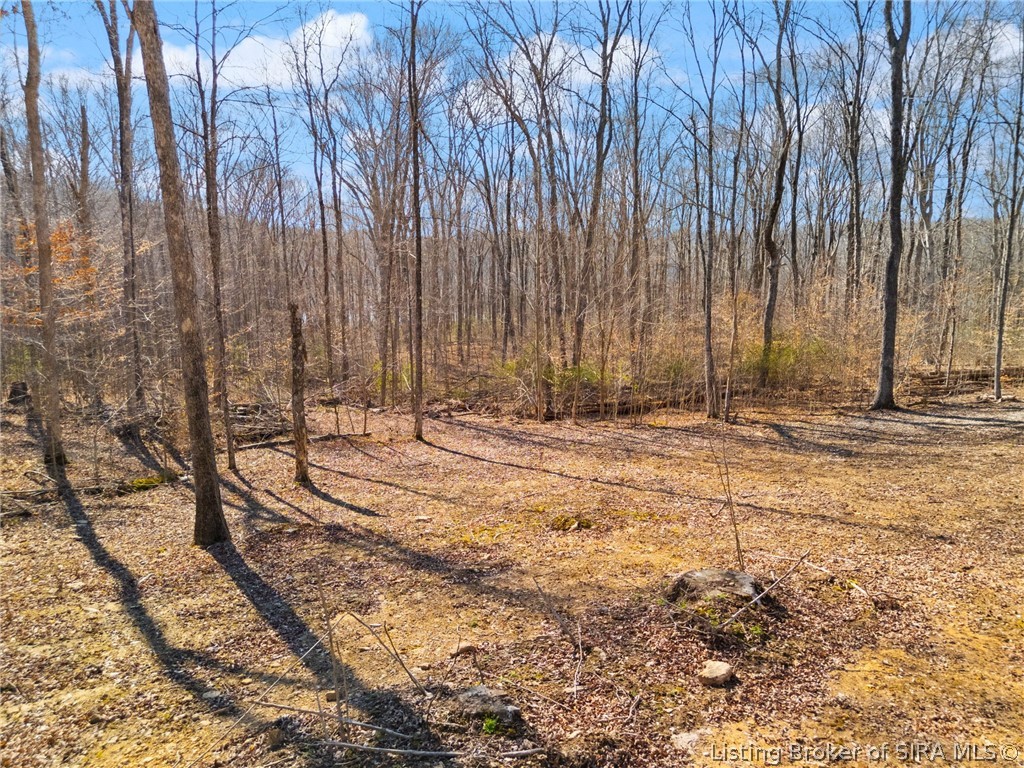 6± Ac Pedora School Road Property Photo 25