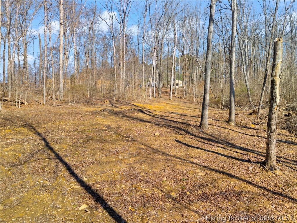 6± Ac Pedora School Road Property Photo 27