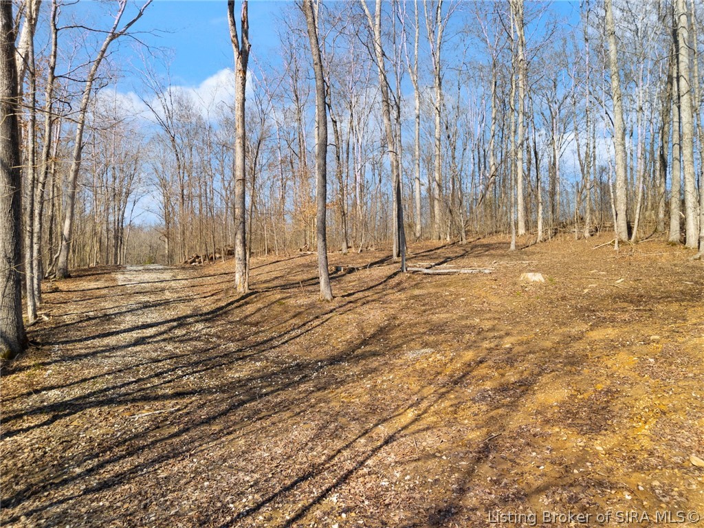 6± Ac Pedora School Road Property Photo 28