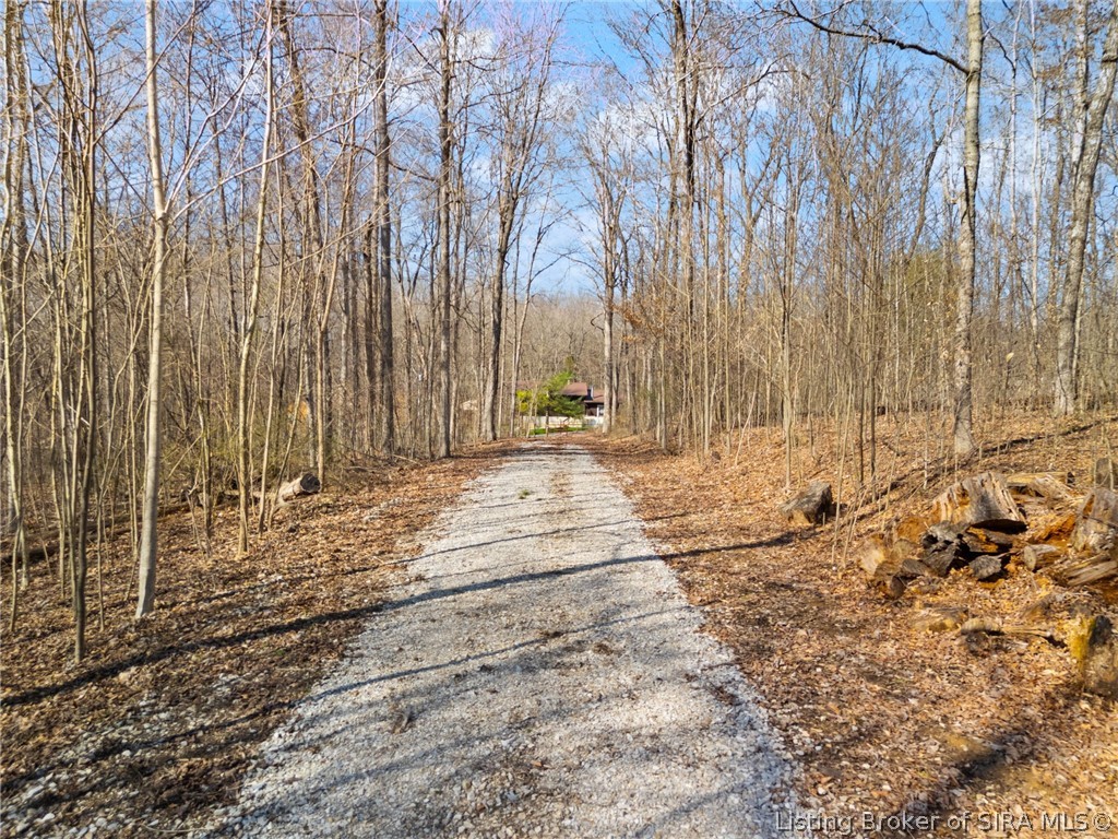 6± Ac Pedora School Road Property Photo 29