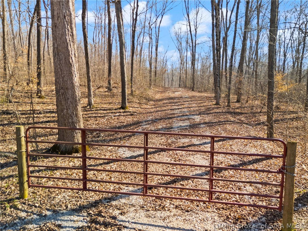 6± Ac Pedora School Road Property Photo 31