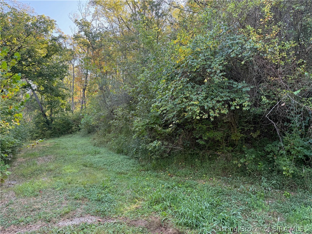 14246 North Branch Road Property Photo 4