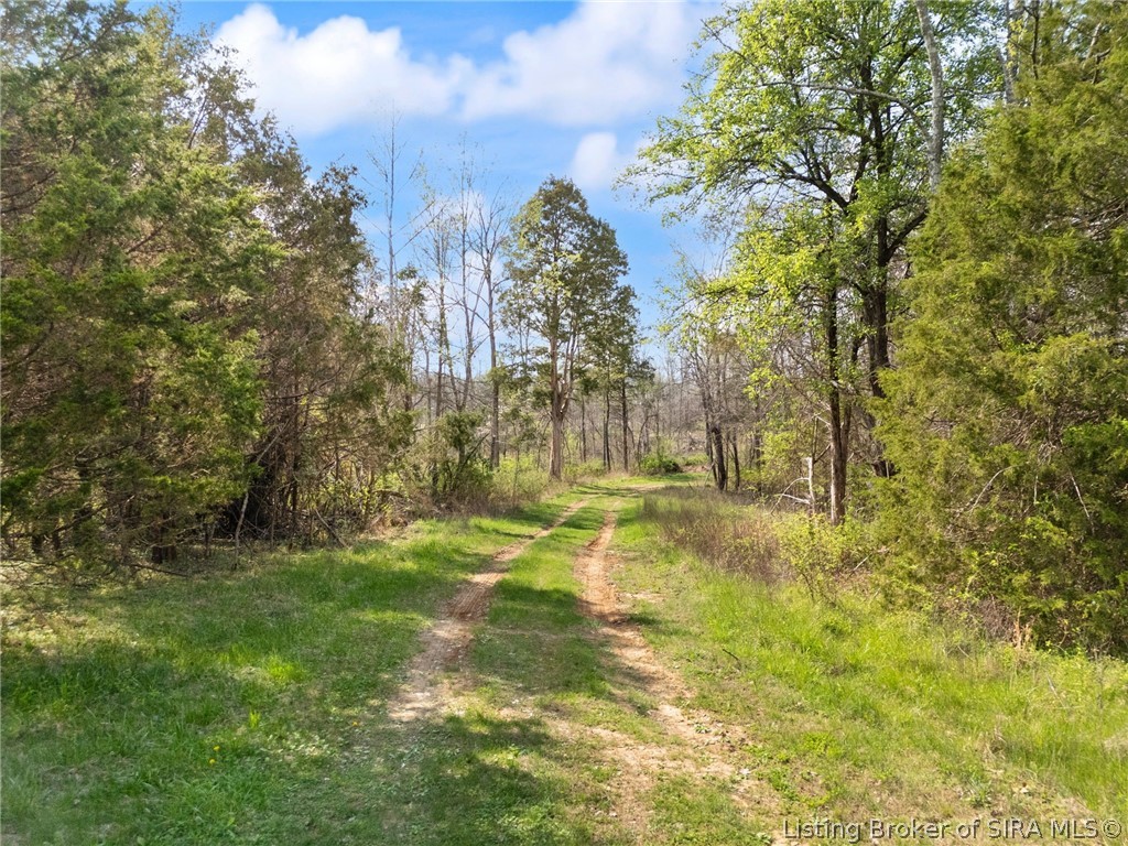63 Acres Old Hwy 135 Sw Property Photo 3