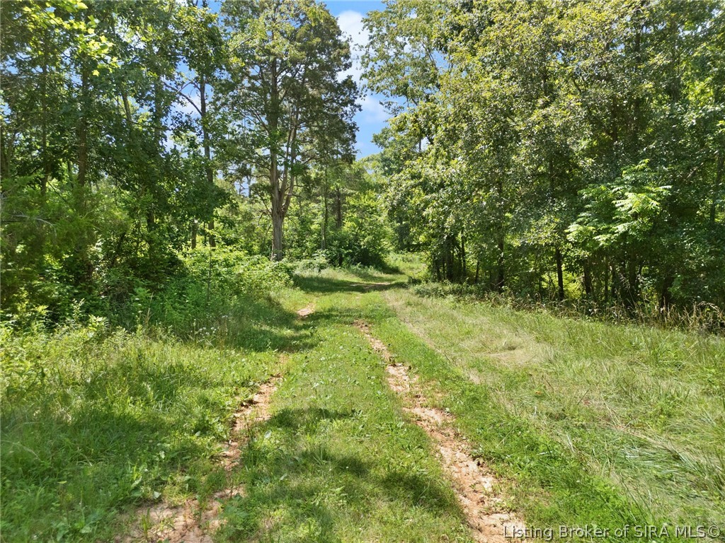 63 Acres Old Hwy 135 Sw Property Photo 31