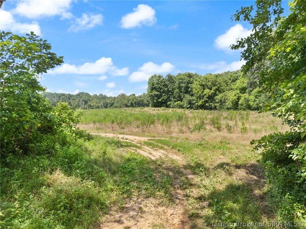 63 Acres Old Hwy 135 Sw Property Photo 33