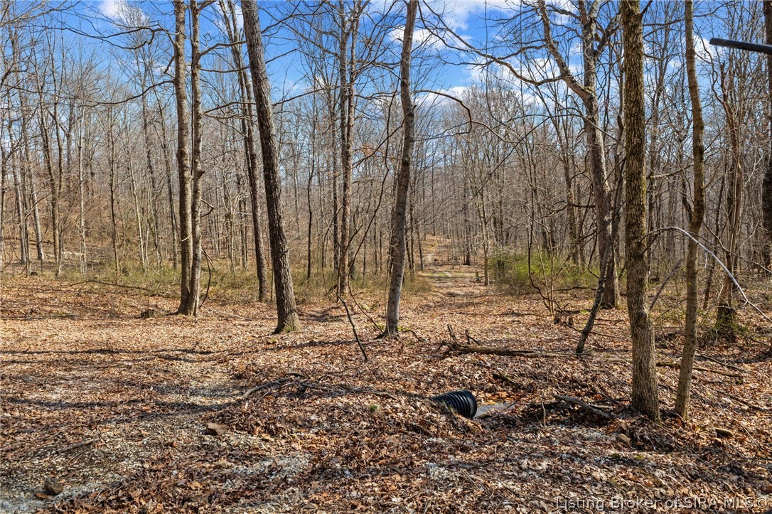 8172 E Ash Road Property Photo 8
