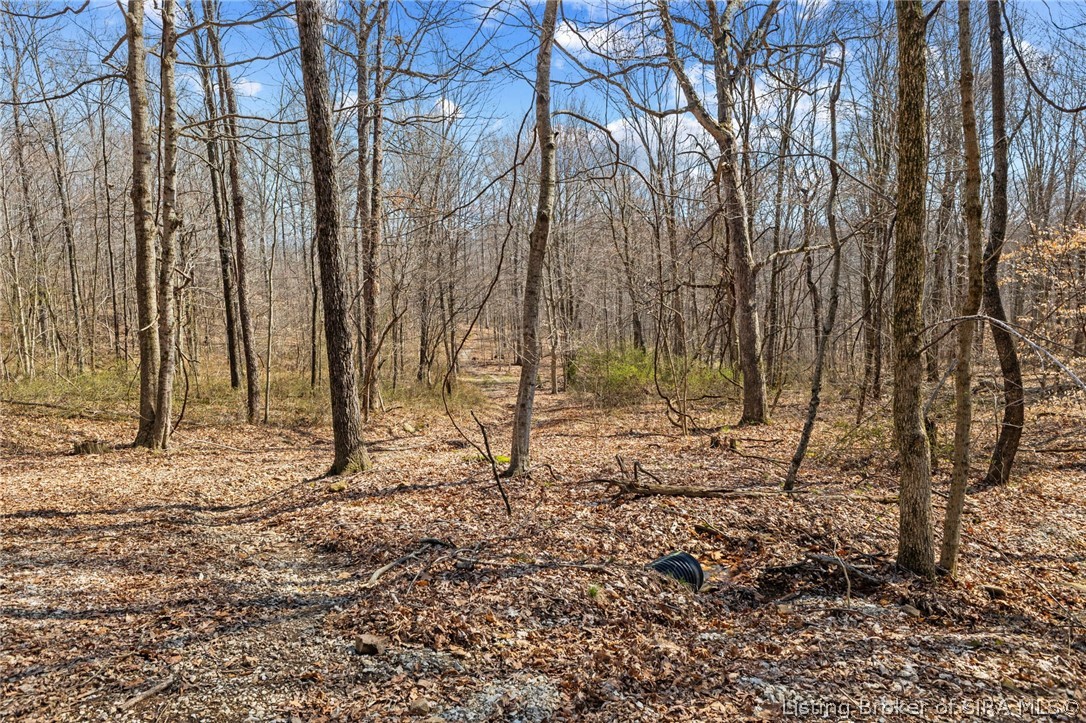 8172 E Ash Road Property Photo 9