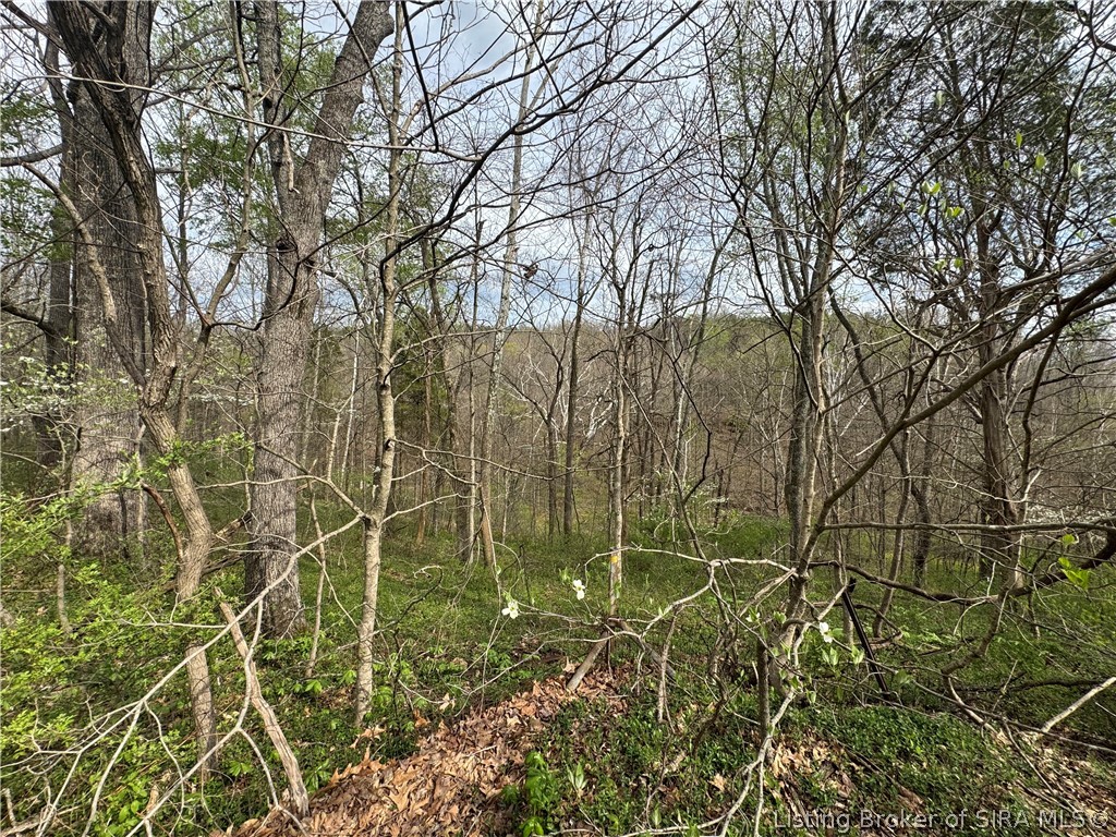1792 S Magnolia Road Property Photo 28