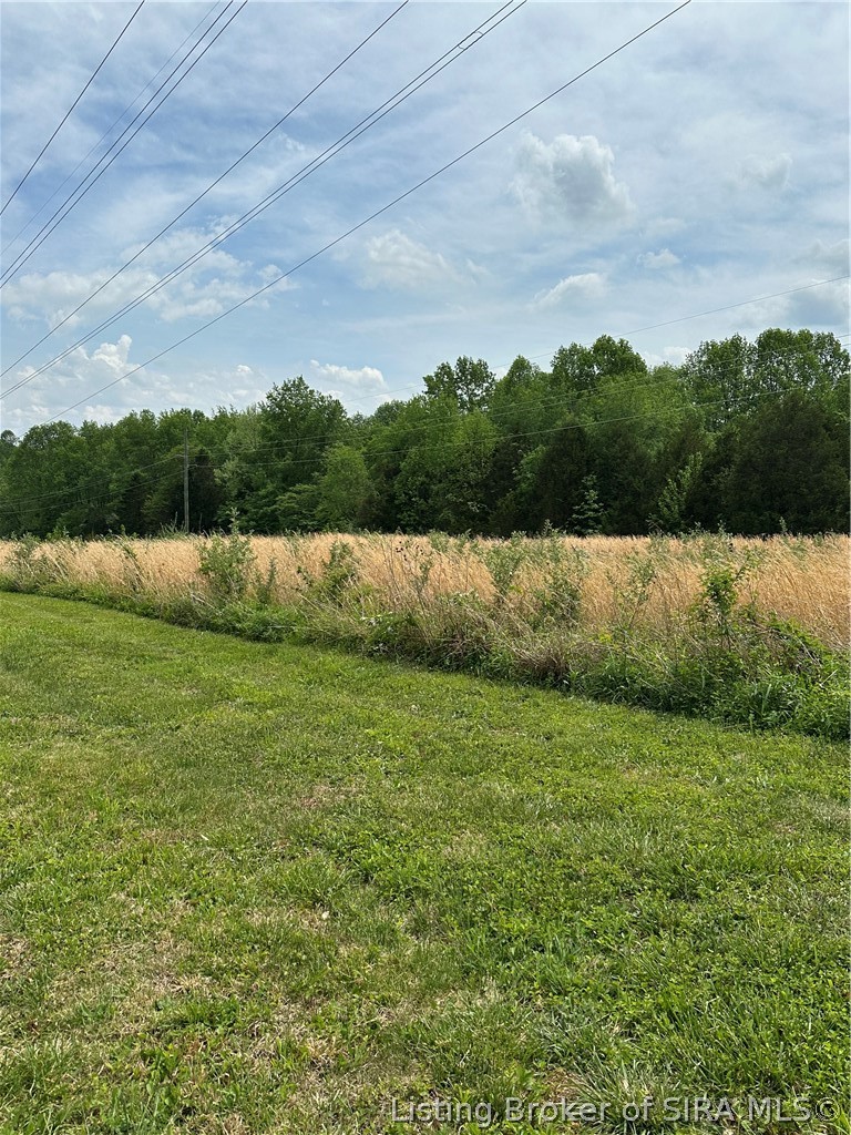 10385 Malinee Ott Road Property Photo 2
