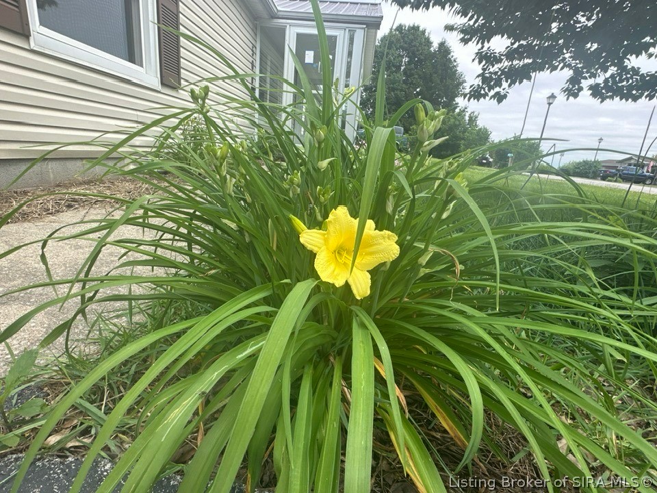 506 Pilgrim Way Property Photo 19
