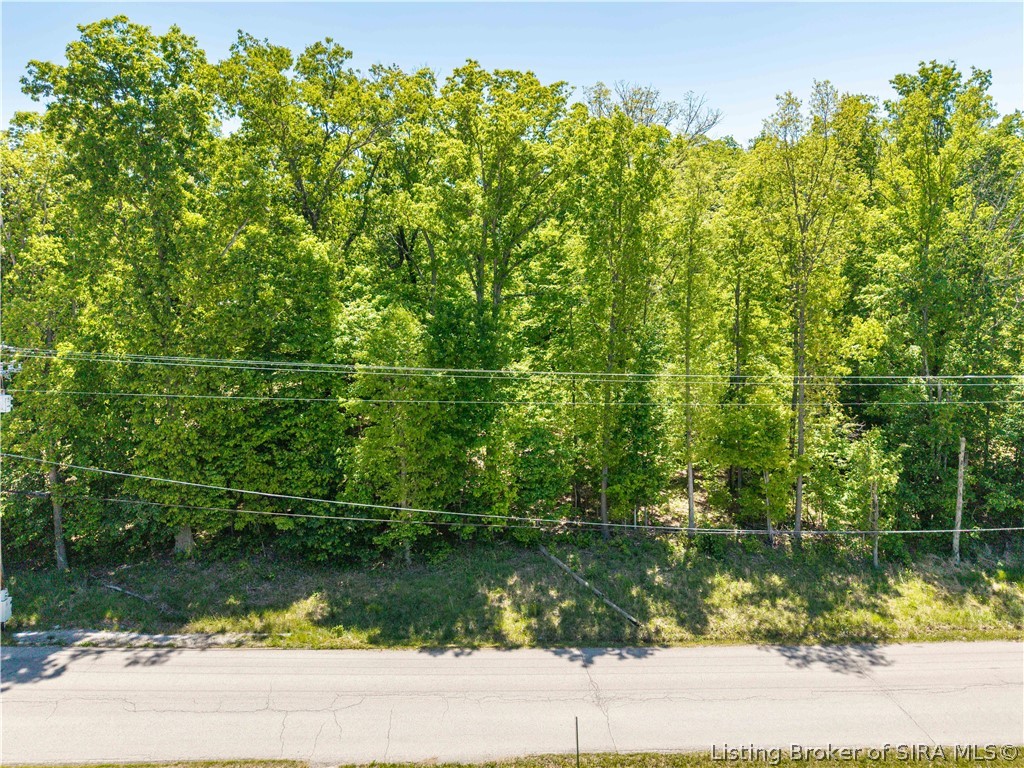 Harry Hughes Road Property Photo 12