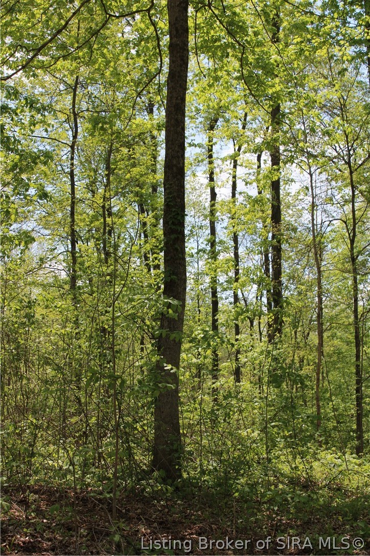 N County Road 555 E Property Photo 5