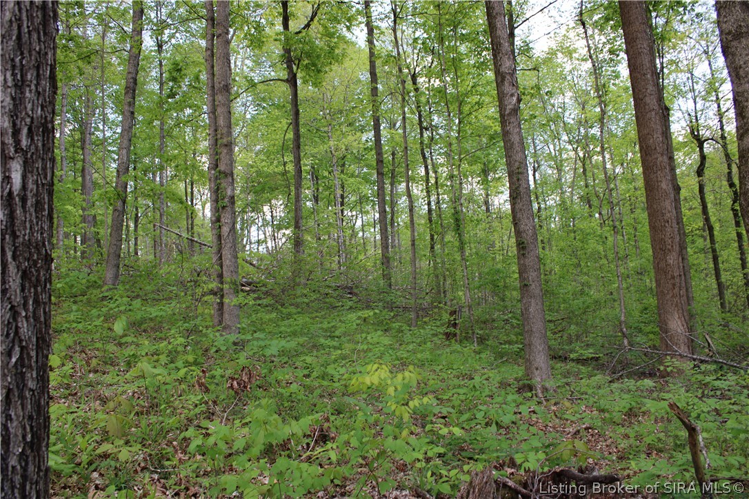 N County Road 555 E Property Photo 8