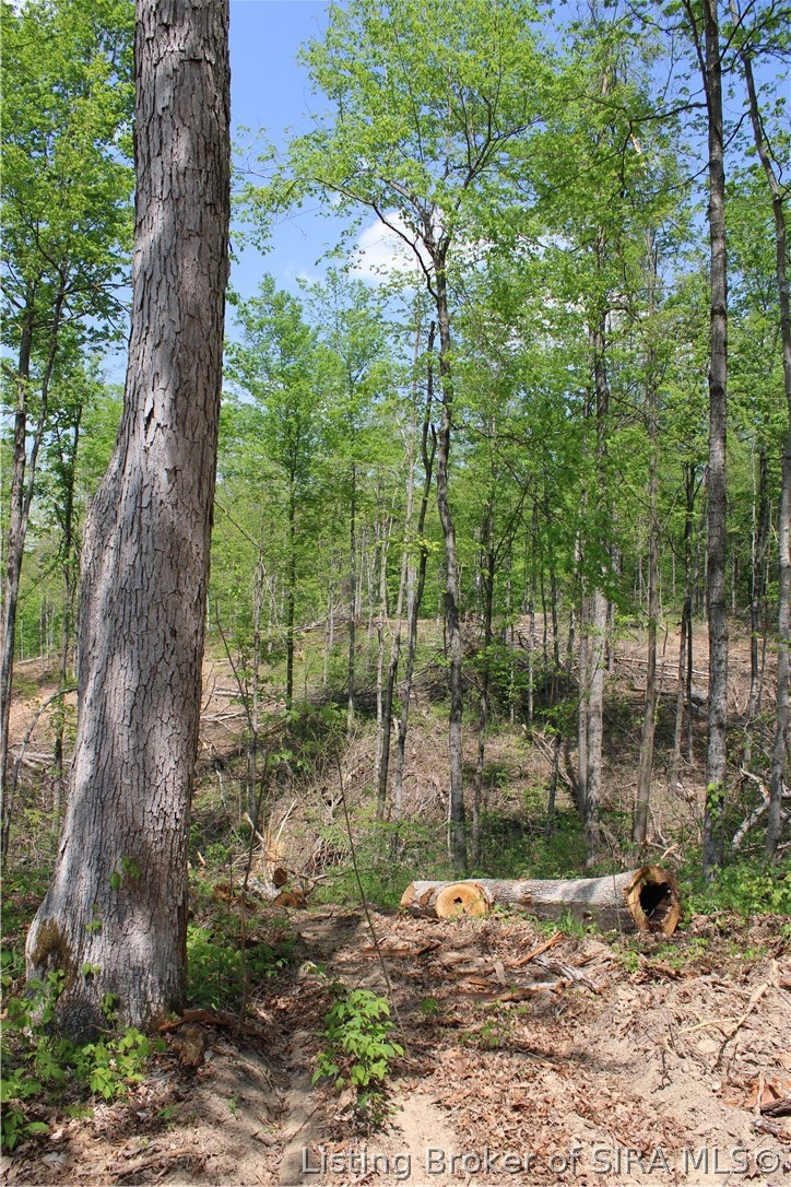 N County Road 555 E Property Photo 11