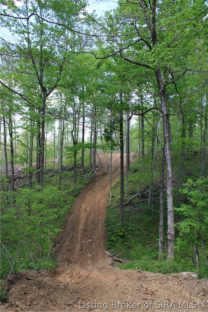N County Road 555 E Property Photo 17