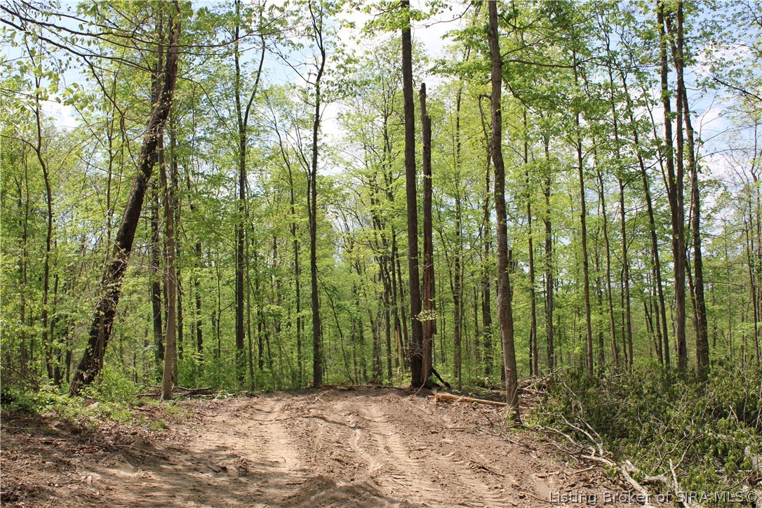 N County Road 555 E Property Photo 19