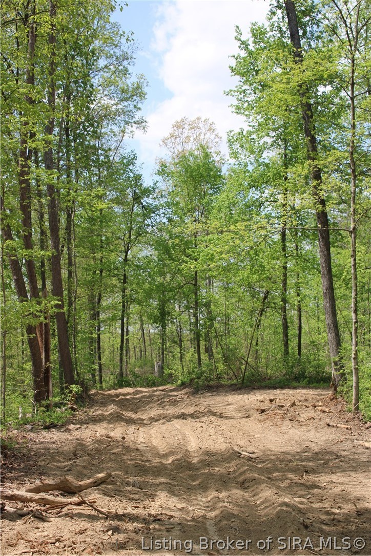 N County Road 555 E Property Photo 20