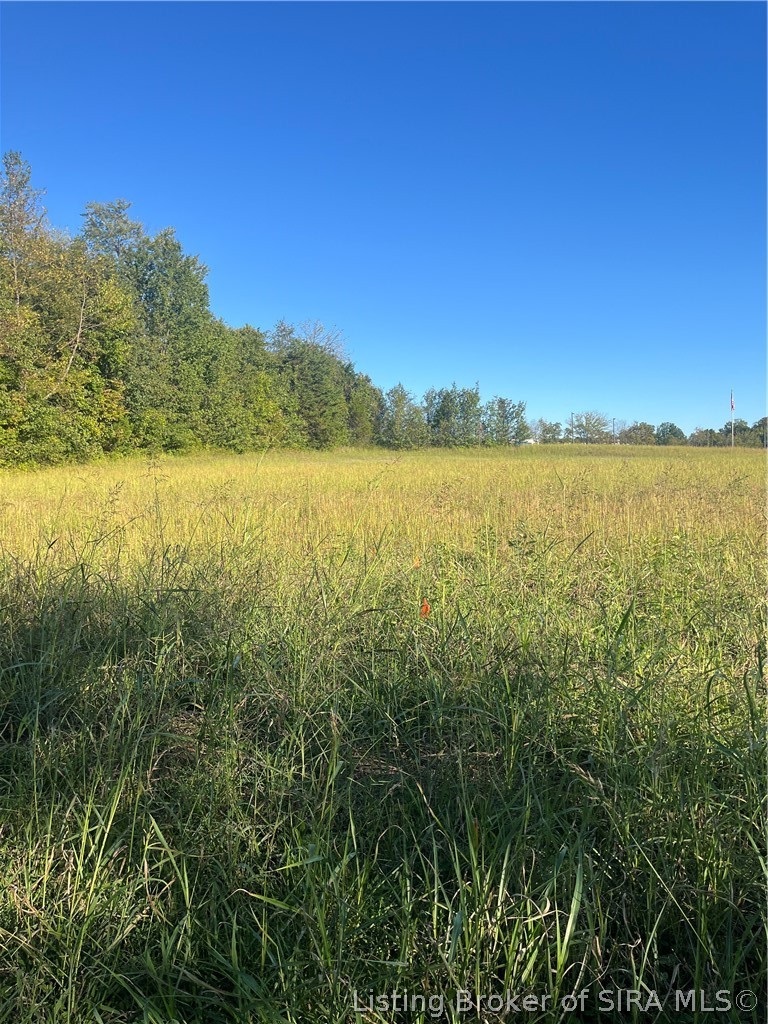 Blackiston Boulevard Property Photo 2