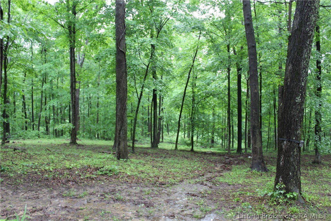 S Benham Mill Road Property Photo 5