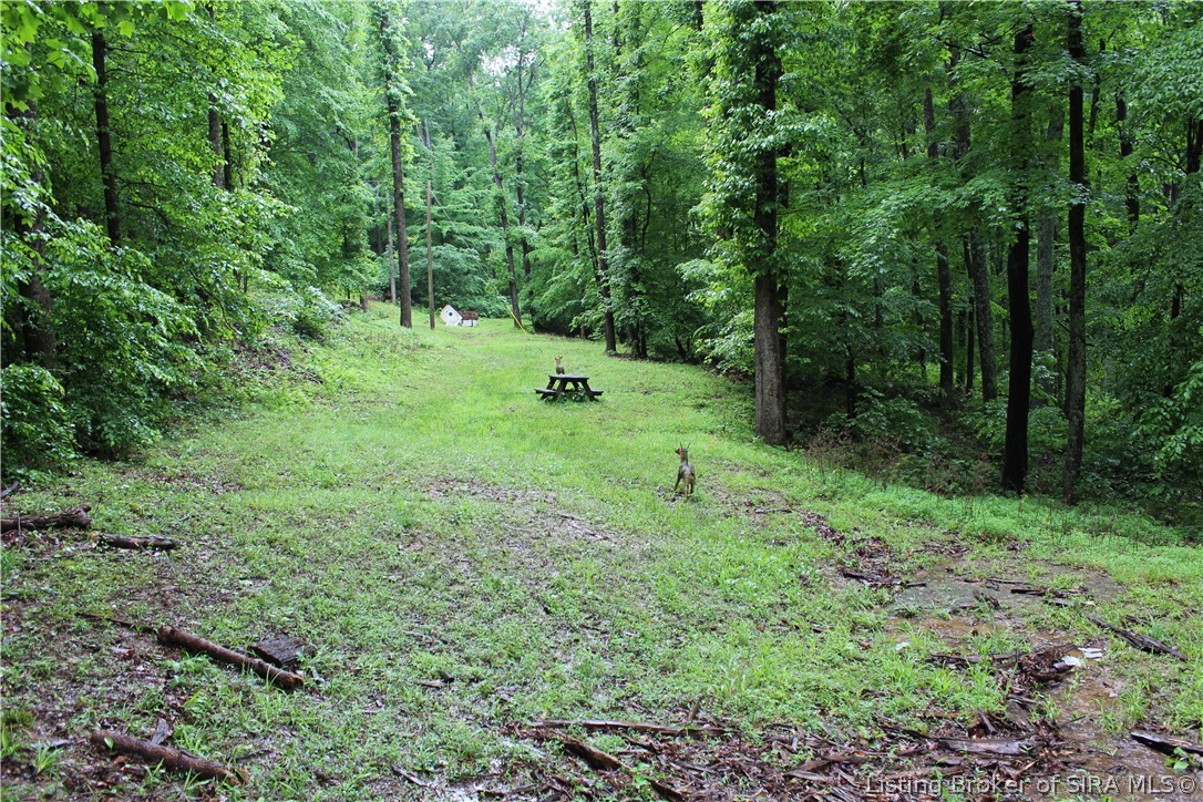S Benham Mill Road Property Photo 8
