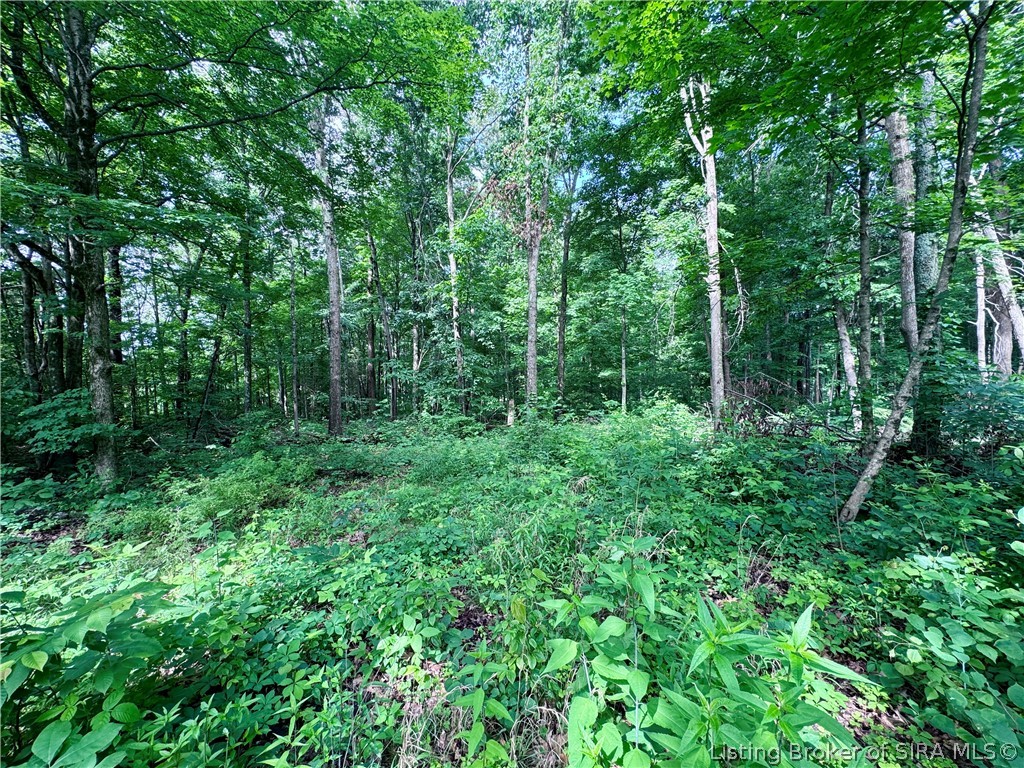 9462 E Saylor Road Property Photo 39