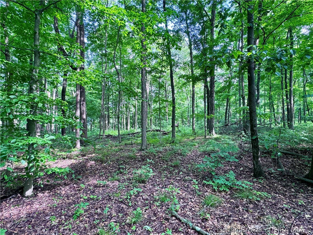 9462 E Saylor Road Property Photo 40