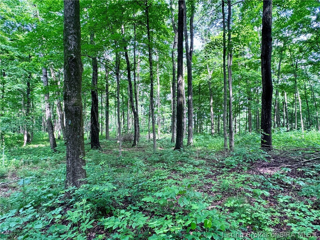 9462 E Saylor Road Property Photo 41
