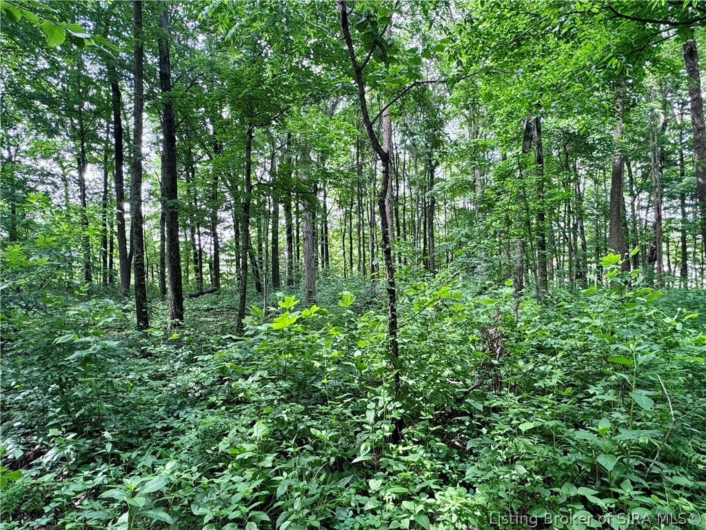 9462 E Saylor Road Property Photo 42