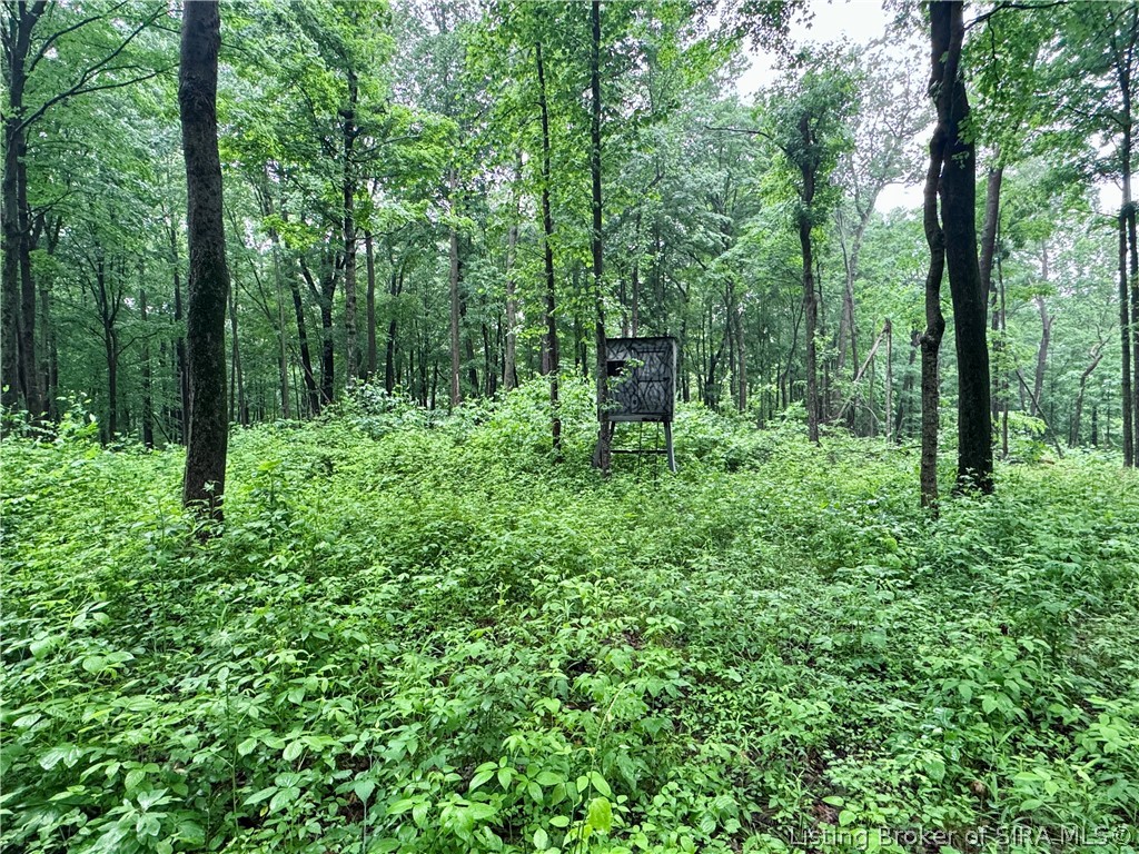 9462 E Saylor Road Property Photo 43