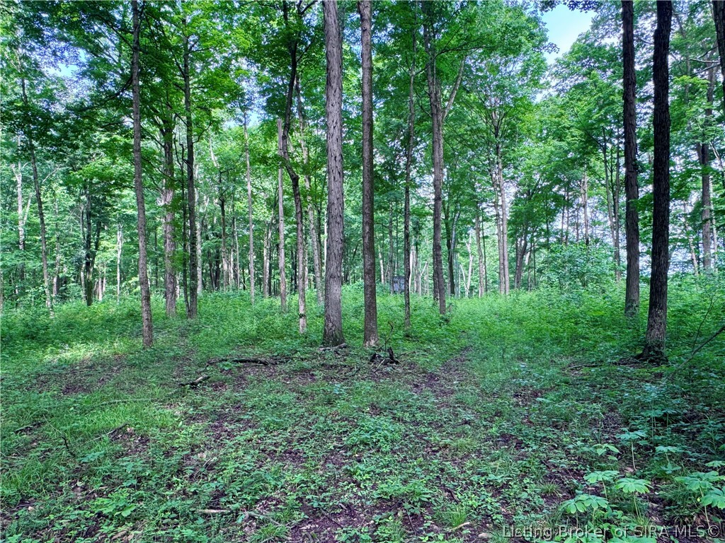 9462 E Saylor Road Property Photo 45