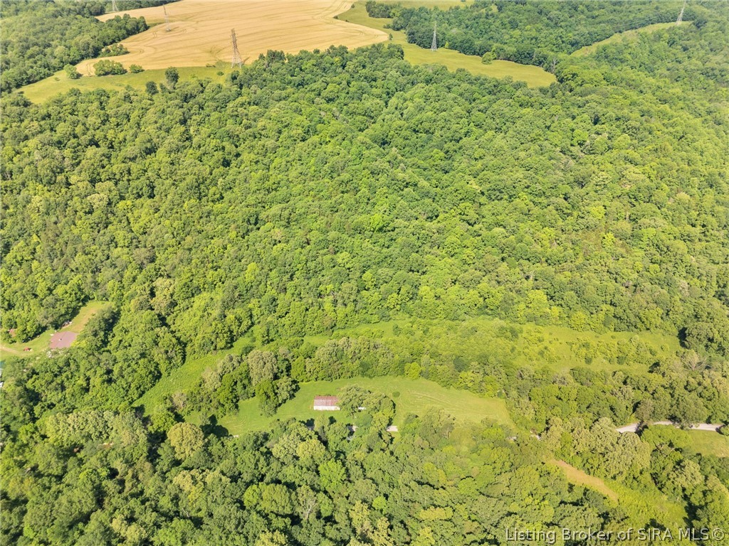 902 Miles Road Property Photo 14