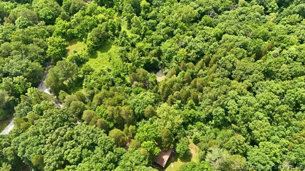 2485 E Turkey Fork Road Property Photo 6
