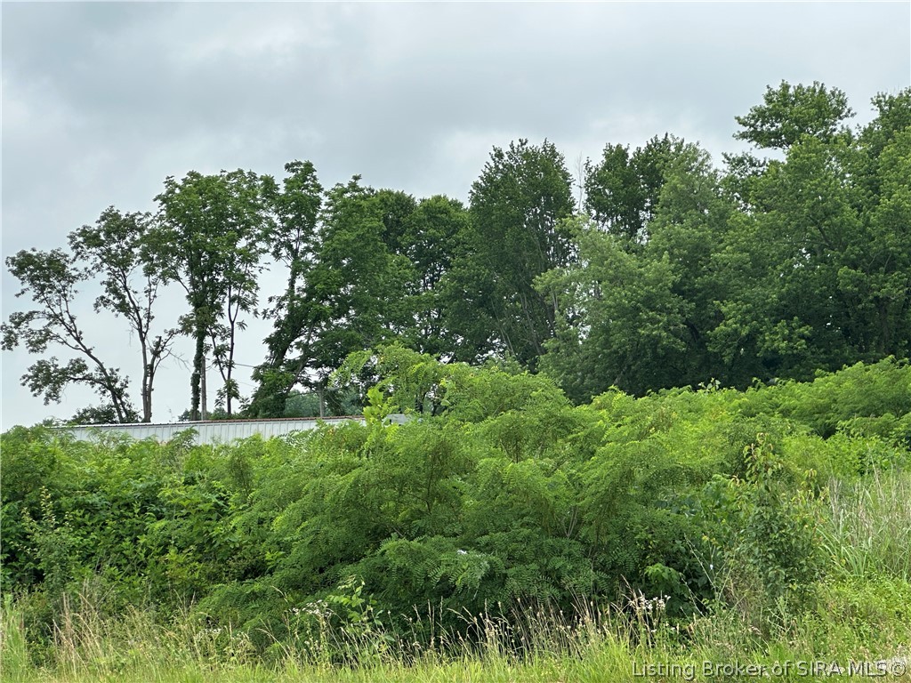 State Road 60 Property Photo 4
