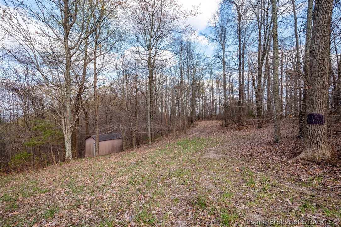 26406 Bartle Knob Road Property Photo 1
