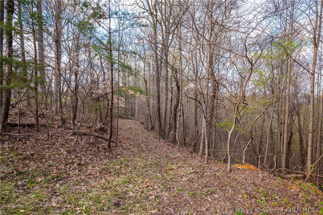 26406 Bartle Knob Road Property Photo 4