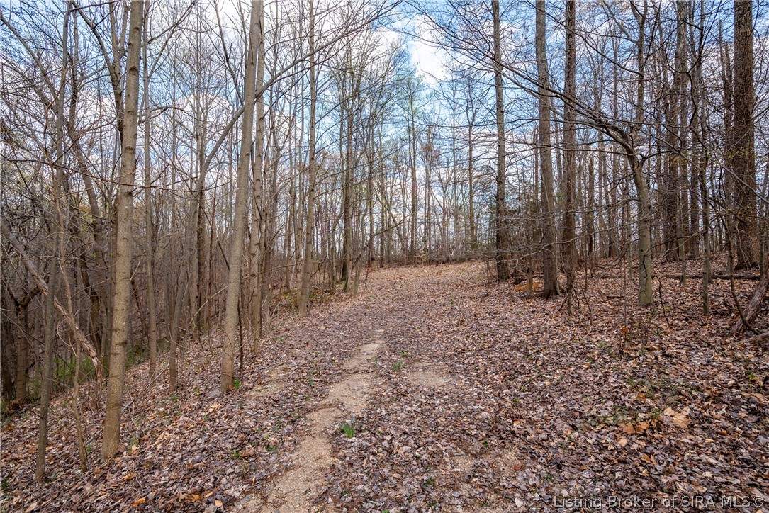 26406 Bartle Knob Road Property Photo 5