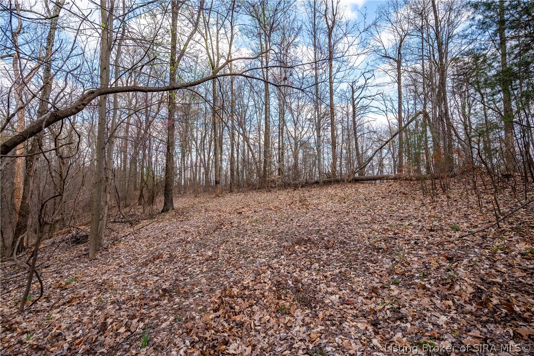26406 Bartle Knob Road Property Photo 6