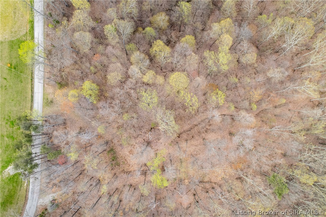 26406 Bartle Knob Road Property Photo 12