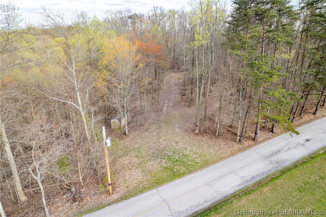 26406 Bartle Knob Road Property Photo 13