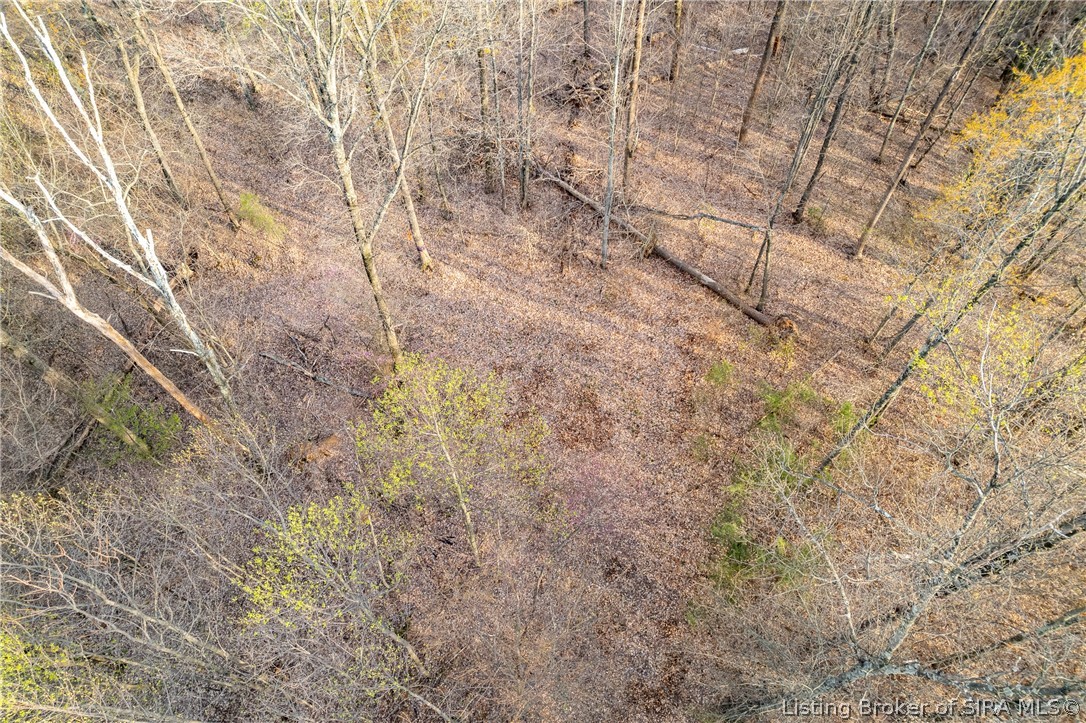 26406 Bartle Knob Road Property Photo 16