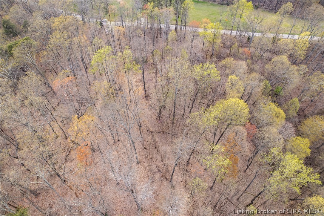 26406 Bartle Knob Road Property Photo 17