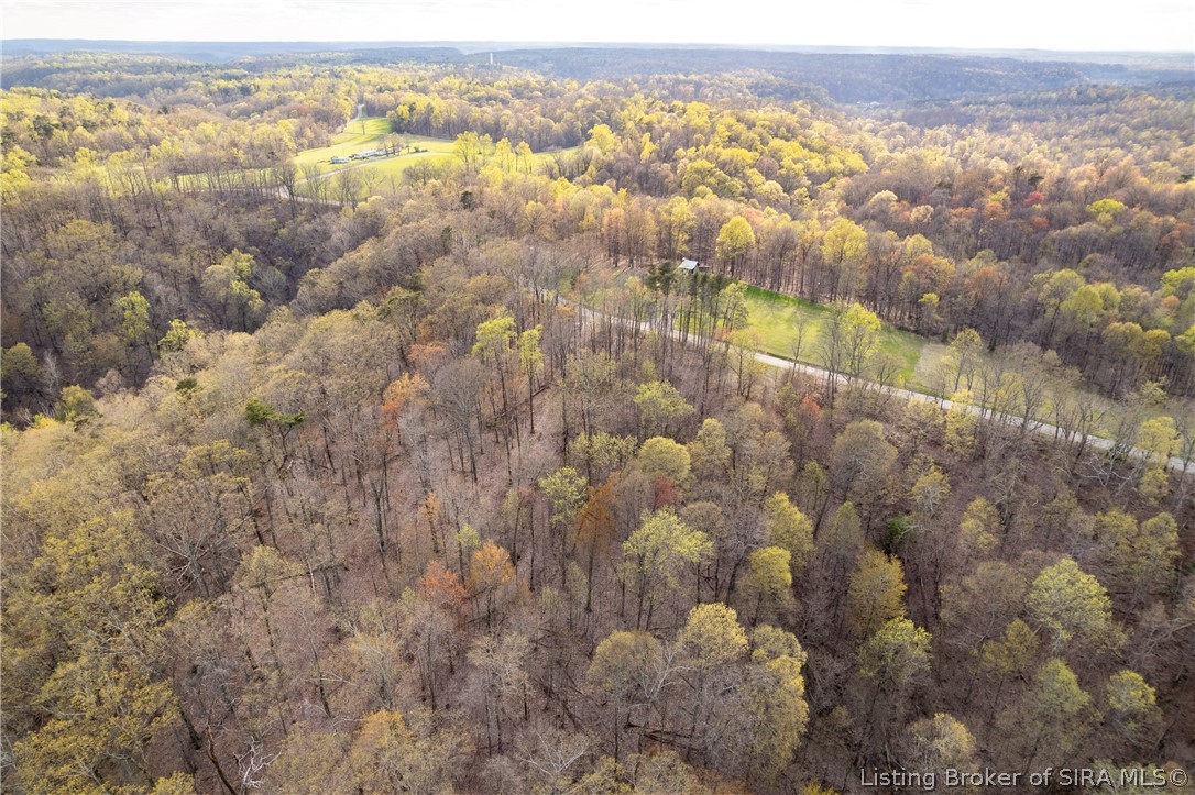 26406 Bartle Knob Road Property Photo 18