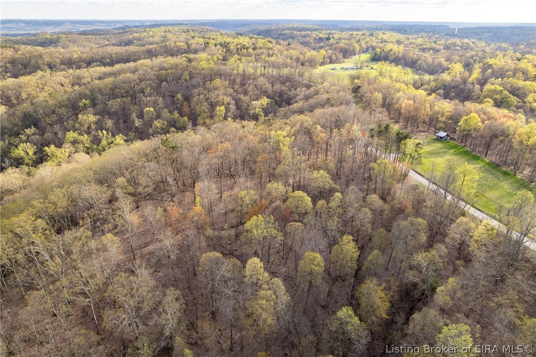 26406 Bartle Knob Road Property Photo 19