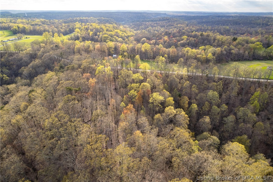26406 Bartle Knob Road Property Photo 20