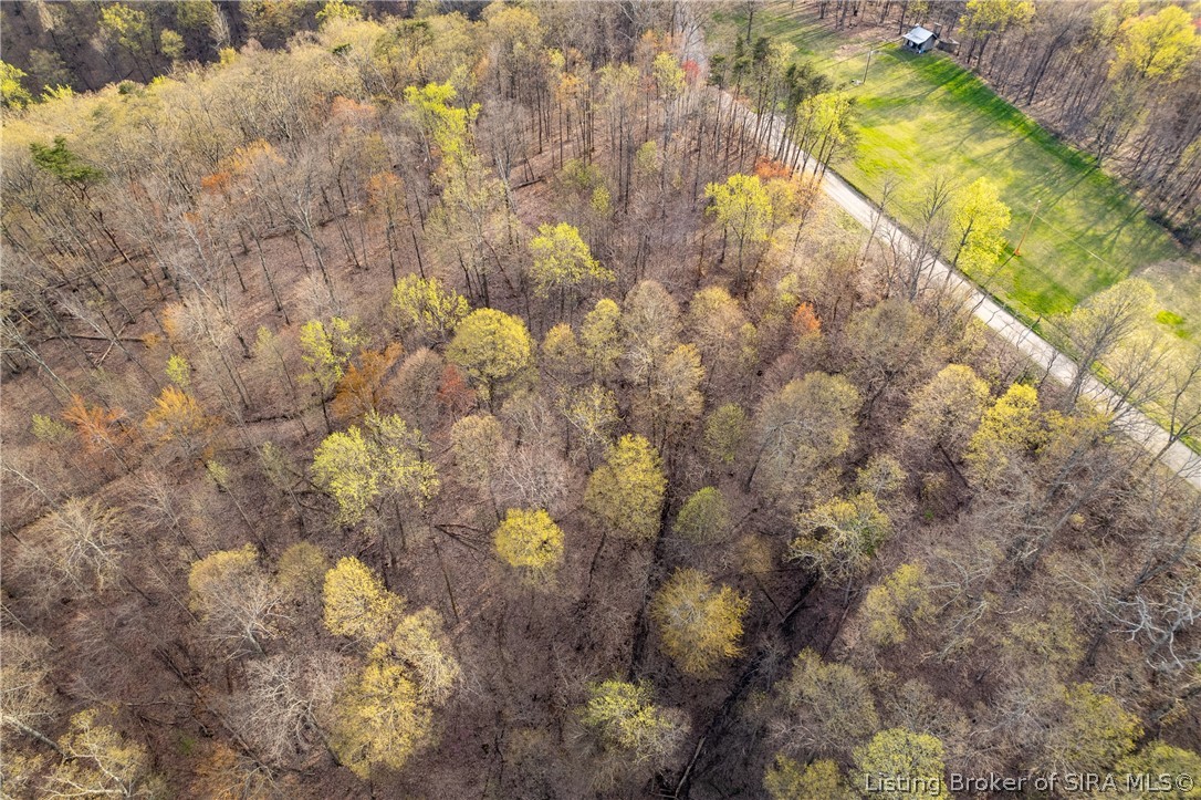26406 Bartle Knob Road Property Photo 22