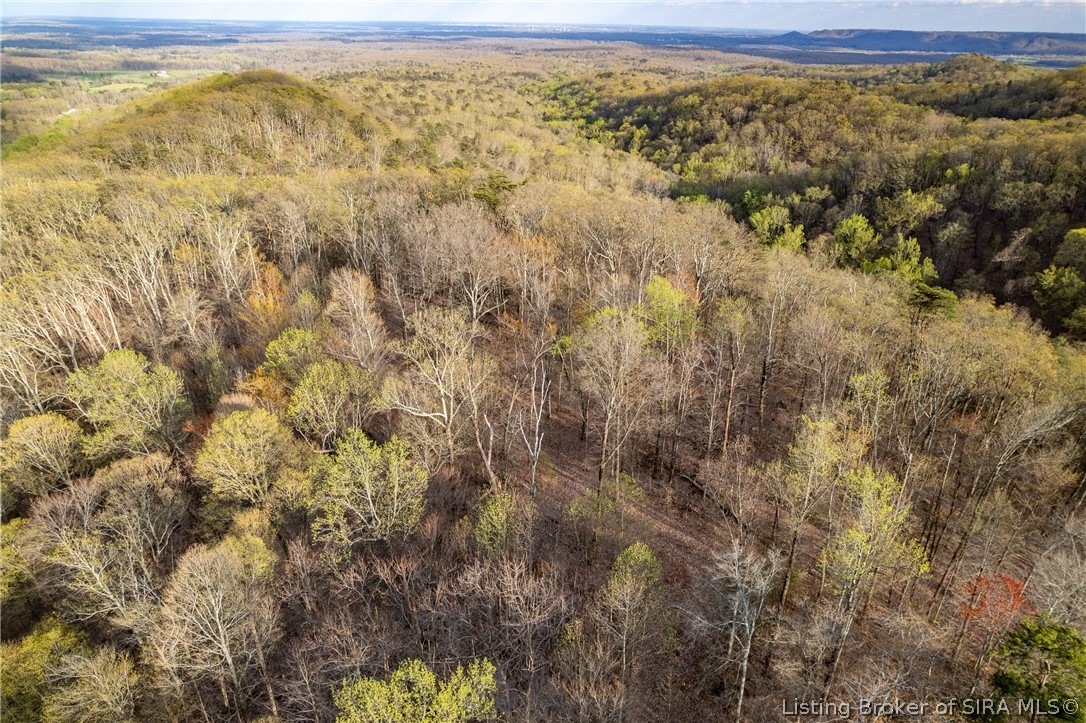 26406 Bartle Knob Road Property Photo 23
