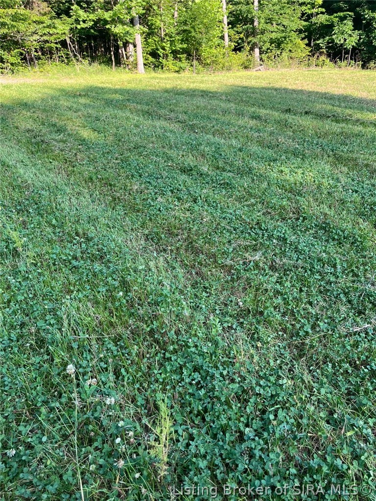 W Co Rd 250 S Property Photo 19