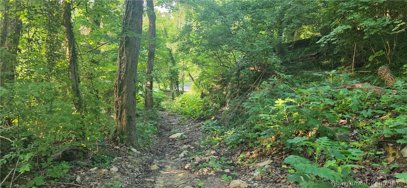 5613 Upper River Road Property Photo 23