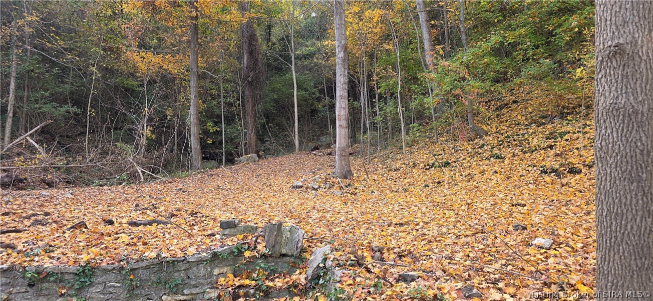 5613 Upper River Road Property Photo 31